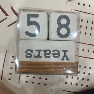 Premium Solid Wood Baby Milestone Age Blocks